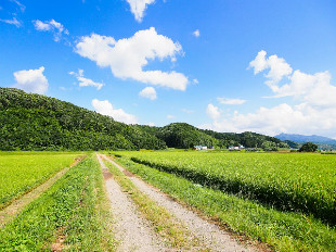 学校休業日を活用した積極的な課外活動